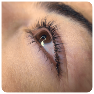 lifting_bonitamia_00 lifting_bonitamia_00